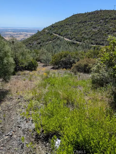 Other - 0 Toomes Camp Rd, Paskenta, CA 96074 photo 7 of 11