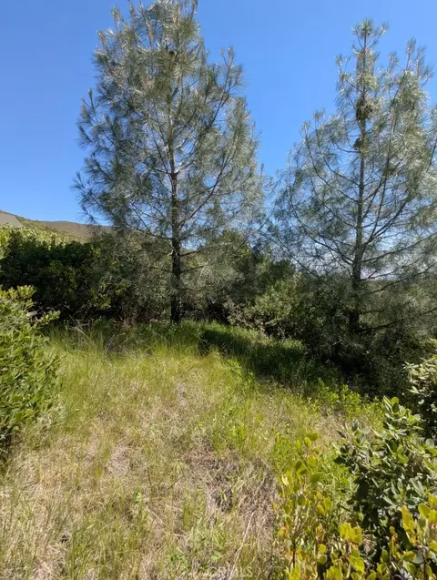 Other - 0 Toomes Camp Rd, Paskenta, CA 96074 photo 10 of 11