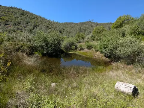 Other - 0 Toomes Camp Rd, Paskenta, CA 96074 photo 6 of 11