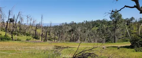 15687 Stagecoach, Corning, CA 96021 photo 11