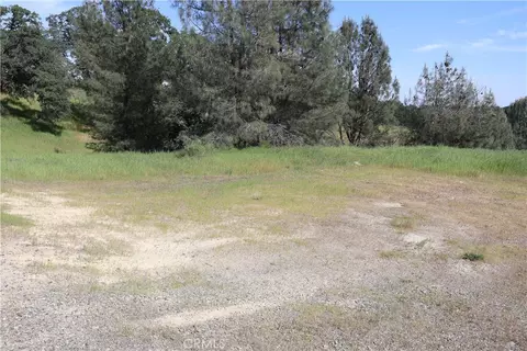 7325 Bluebird Rd, Corning, CA 96021 photo 7