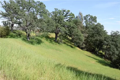 7325 Bluebird Rd, Corning, CA 96021 photo 10