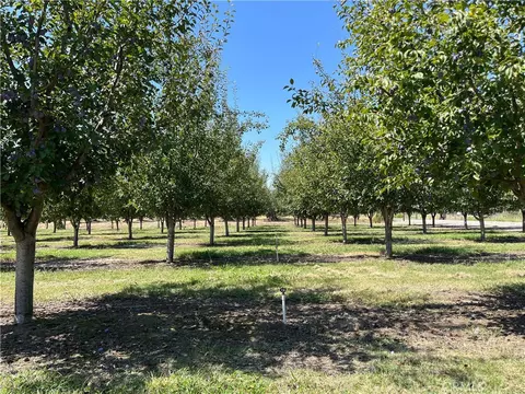 25333 Connecticut Ave, Corning, CA 96021 photo 4