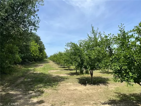 25333 Connecticut Ave, Corning, CA 96021 photo 5