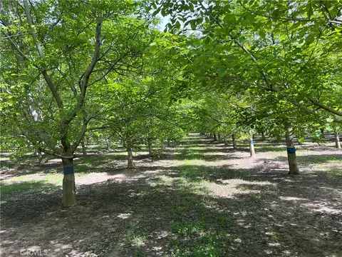 25333 Connecticut Ave, Corning, CA 96021 photo 12