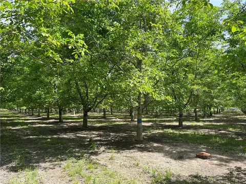 25333 Connecticut Ave, Corning, CA 96021 photo 10