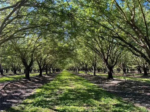5000 Ord Fry, Chico, CA 95928 photo 5