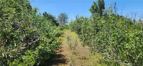 0 Hummer Rd, Forest Ranch, CA 95942 photo 7