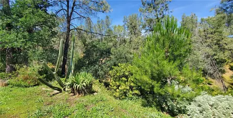 16080 Oakridge, Corning, CA 96021 photo 13
