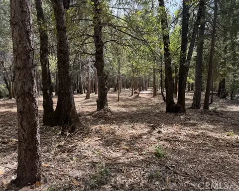 0 Platt Mountain Rd, Forest Ranch, CA 95942