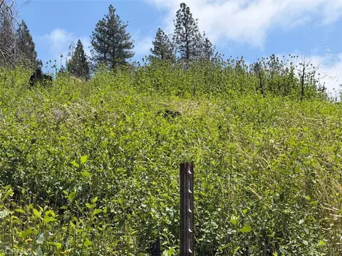 4631 Dear Abby, Forest Ranch, CA 95942 photo 10