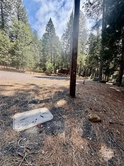 4631 Dear Abby, Forest Ranch, CA 95942 photo 3