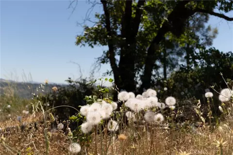 0 Doe Ml, Forest Ranch, CA 95942 photo 15