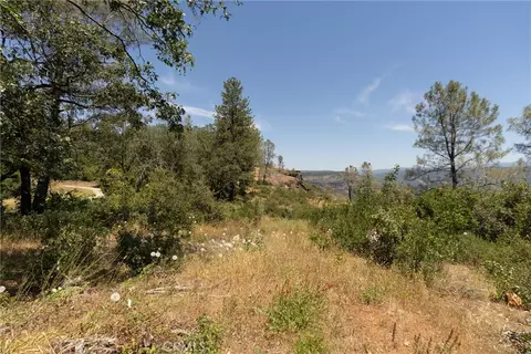 0 Doe Ml, Forest Ranch, CA 95942 photo 16