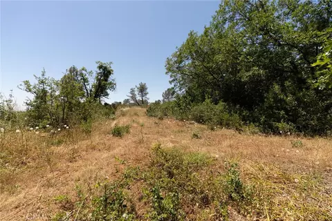 0 Doe Ml, Forest Ranch, CA 95942 photo 17