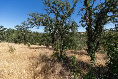 16398 Lariat, Corning, CA 96021 photo 13