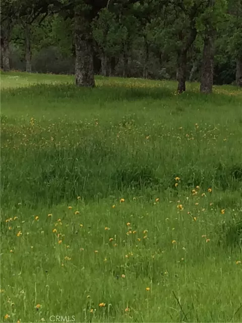 1985 Flatiron, Chico, CA 95928 photo 52