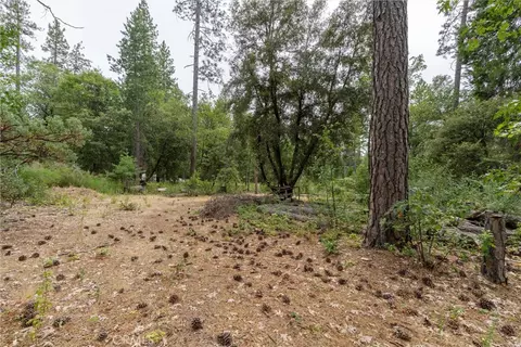 15184 Siwini Rd, Forest Ranch, CA 95942 photo 67