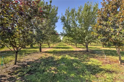 Other - 8176 County Road 44, Glenn, CA 95943 photo 12 of 16