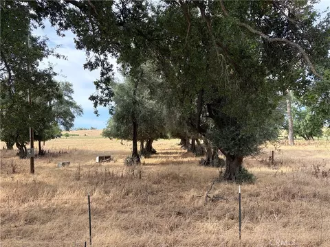 19115 Simpson Rd, Corning, CA 96021 photo 31