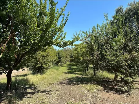 3860 Vadney Ave, Vina, CA 96092 photo 14