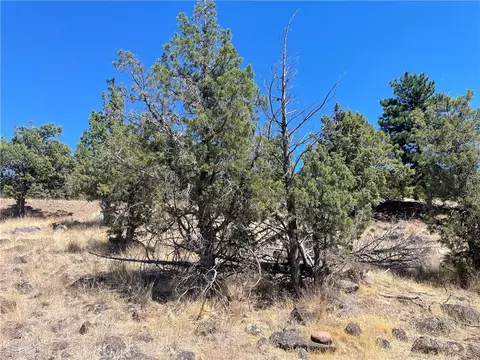 40 Lake Shore Dr, Weed, CA 96094 photo 14