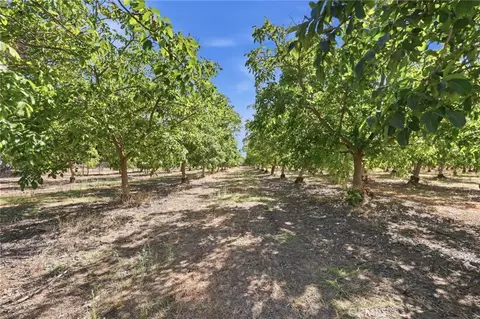Other - 491 Justeson, Gridley, CA 95948 photo 7 of 7