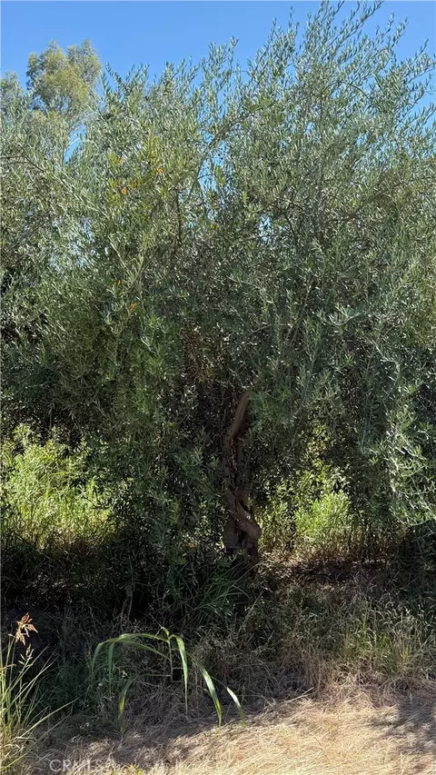 0 Mary, Corning, CA 96021 photo 19