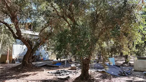 23265 Viola Ave, Corning, CA 96021 photo 10