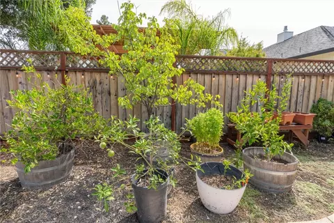 Exterior - 1464 Lucy, Chico, CA 95973 photo 9 of 17