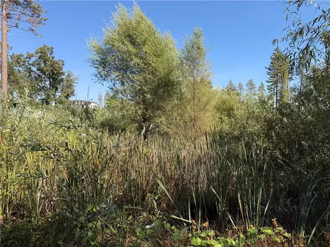 0 Demille, Paradise, CA 95969 photo 6