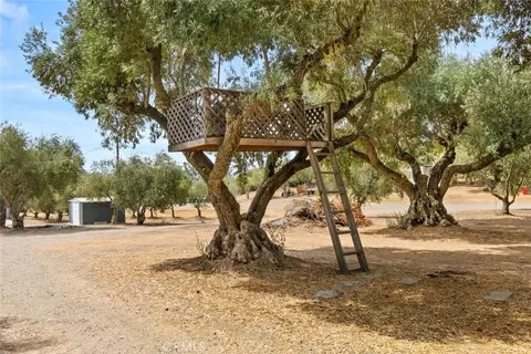 23551 Carona Ave, Corning, CA 96021 photo 52