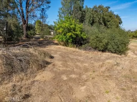 Other - 15220 China Rapids Dr, Red Bluff, CA 96080 photo 9 of 13