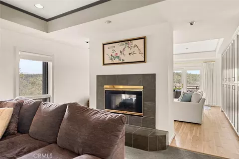 Living - 14950 Eagle Ridge Dr, Forest Ranch, CA 95942 photo 5 of 7