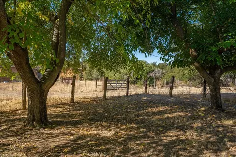 18773 Pine Creek Rd, Red Bluff, CA 96080 photo 47
