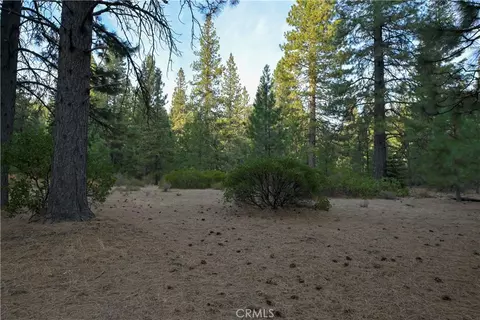 0 Shasta Cv, Weed, CA 96094 photo 12