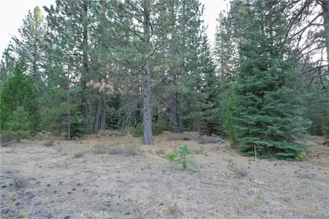 0 Shasta Cv, Weed, CA 96094 photo 16