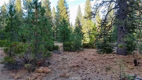 0 Shasta Cv, Weed, CA 96094 photo 10