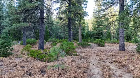 0 Shasta Cv, Weed, CA 96094 photo 27