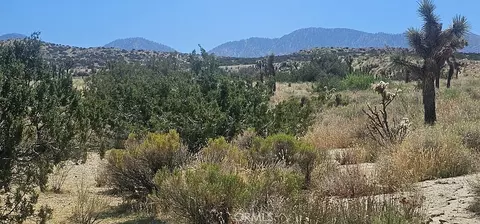 0 Avenue X 136th St E, Pearblossom, CA 93553