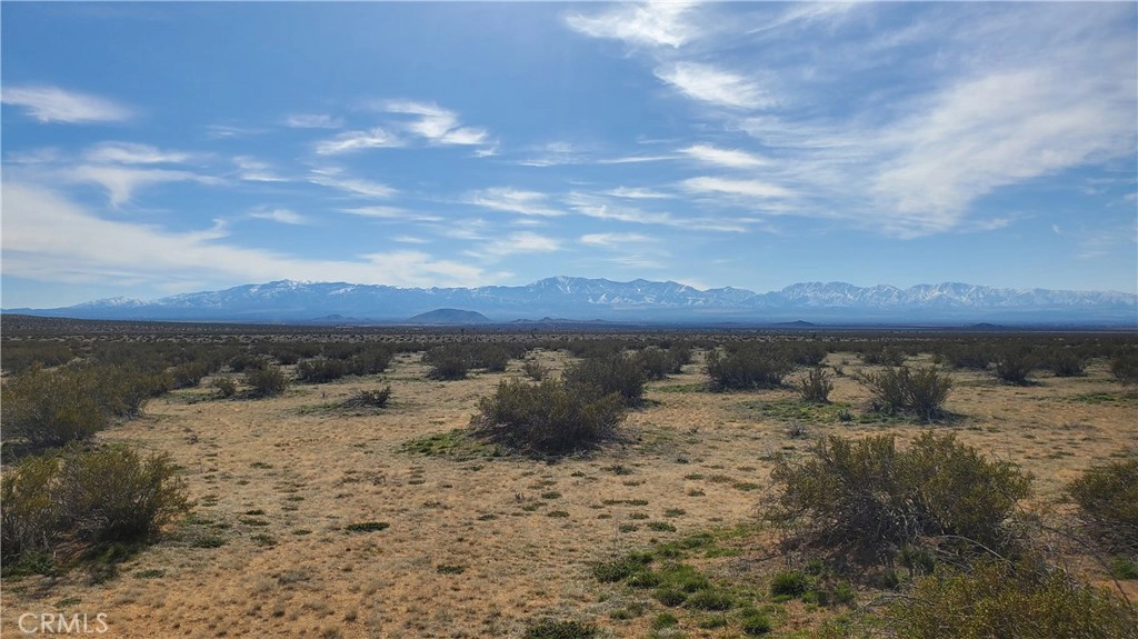 0 Vicinity Ave L 225th St E  