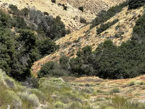 6 Chimney Canyon Rd, Lebec, CA 93243 photo 7