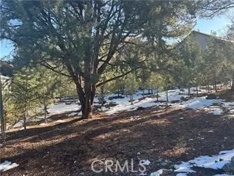 1604 Linden Dr, Pine Mountain Club, CA 93222