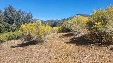 1806 Zermatt, Pine Mountain Club, CA 93222