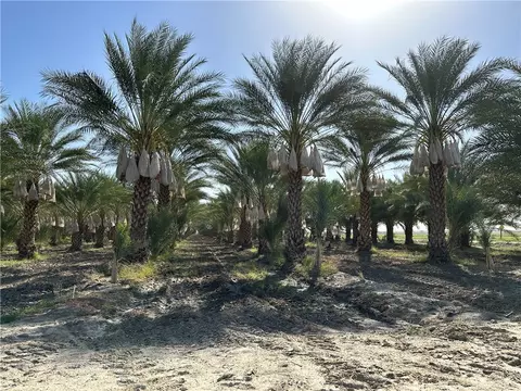 60504 Jackson St, Unincorporated, CA 92274
