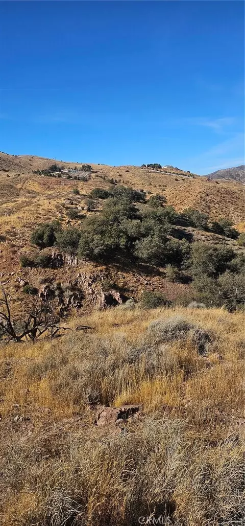 0 Richter Ln, Acton, CA 93510 photo 4