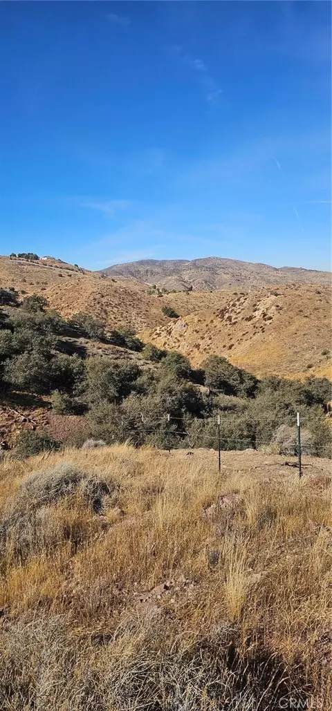 0 Richter Ln, Acton, CA 93510 photo 5