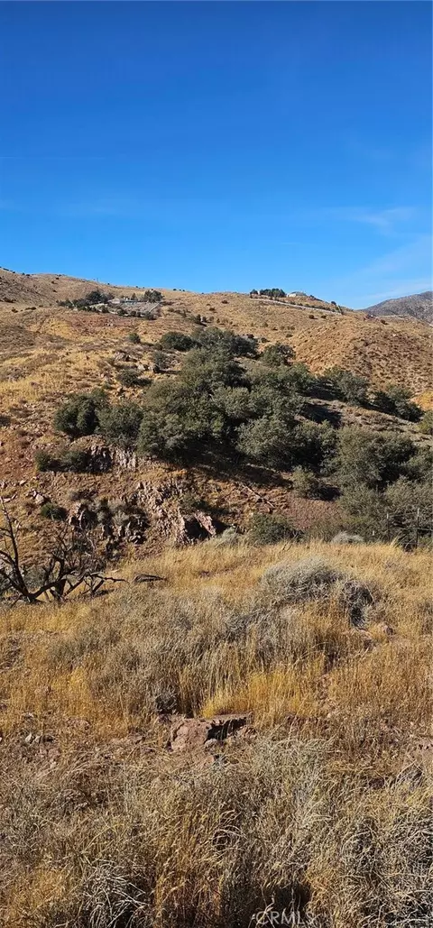 0 Richter Ln, Acton, CA 93510 photo 4