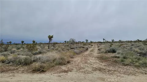 0 202nd St E Ave X4, Llano, CA 93544 photo 3