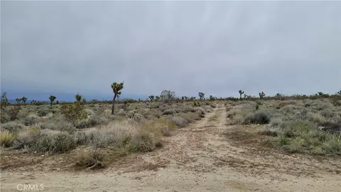 0 202nd St E Ave X4, Llano, CA 93544 photo 3